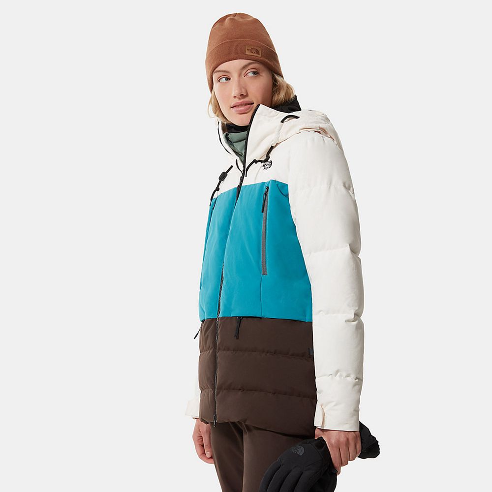 The North Face Winter Jacket Womens Australia - The North Face Pallie White / Blue / Dark Brown Skii